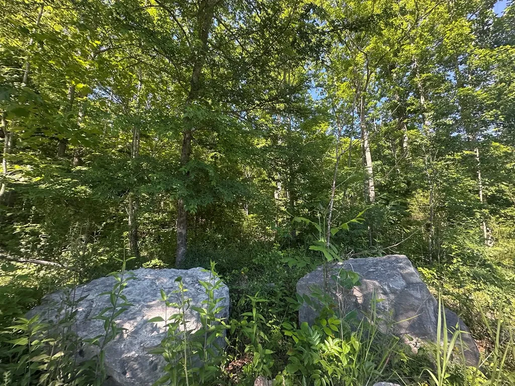 1020 Tomahawk Road Jamestown TN 38556