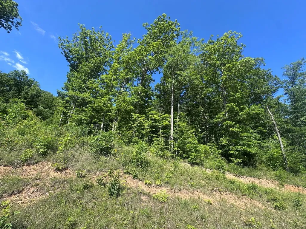 1020 Tomahawk Road Jamestown TN 38556