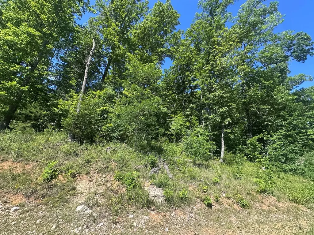 1020 Tomahawk Road Jamestown TN 38556