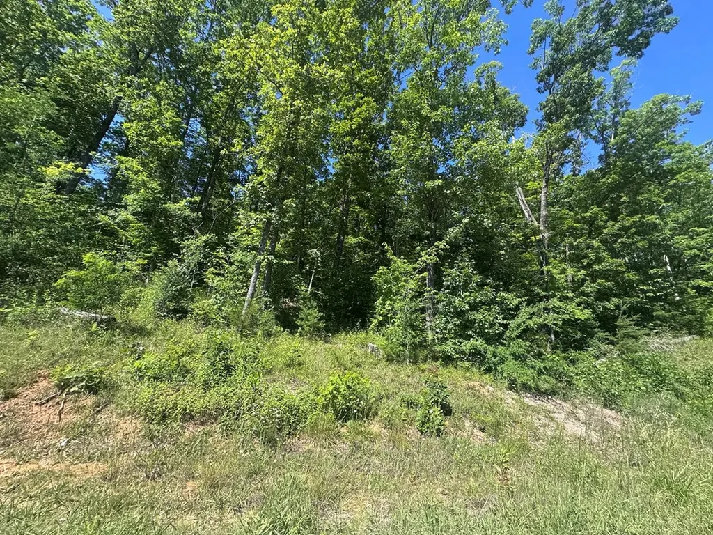 1020 Tomahawk Road Jamestown TN 38556
