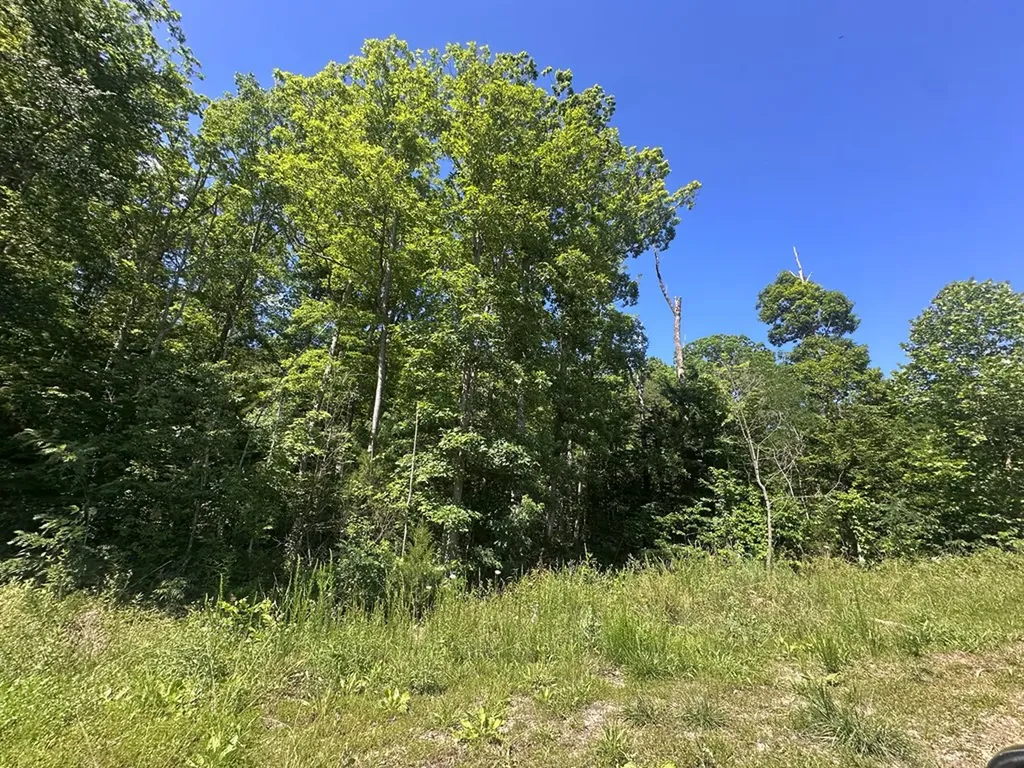 1020 Tomahawk Road Jamestown TN 38556