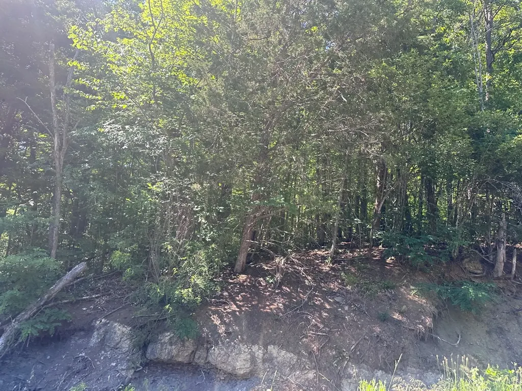 1020 Tomahawk Road Jamestown TN 38556
