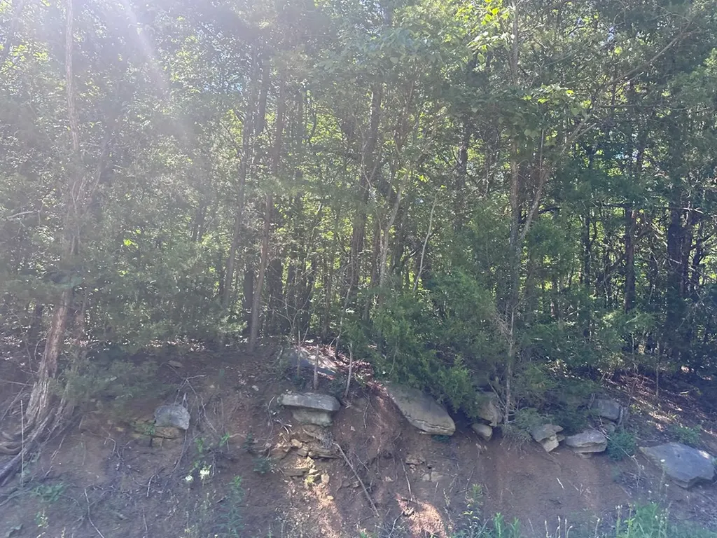 1020 Tomahawk Road Jamestown TN 38556