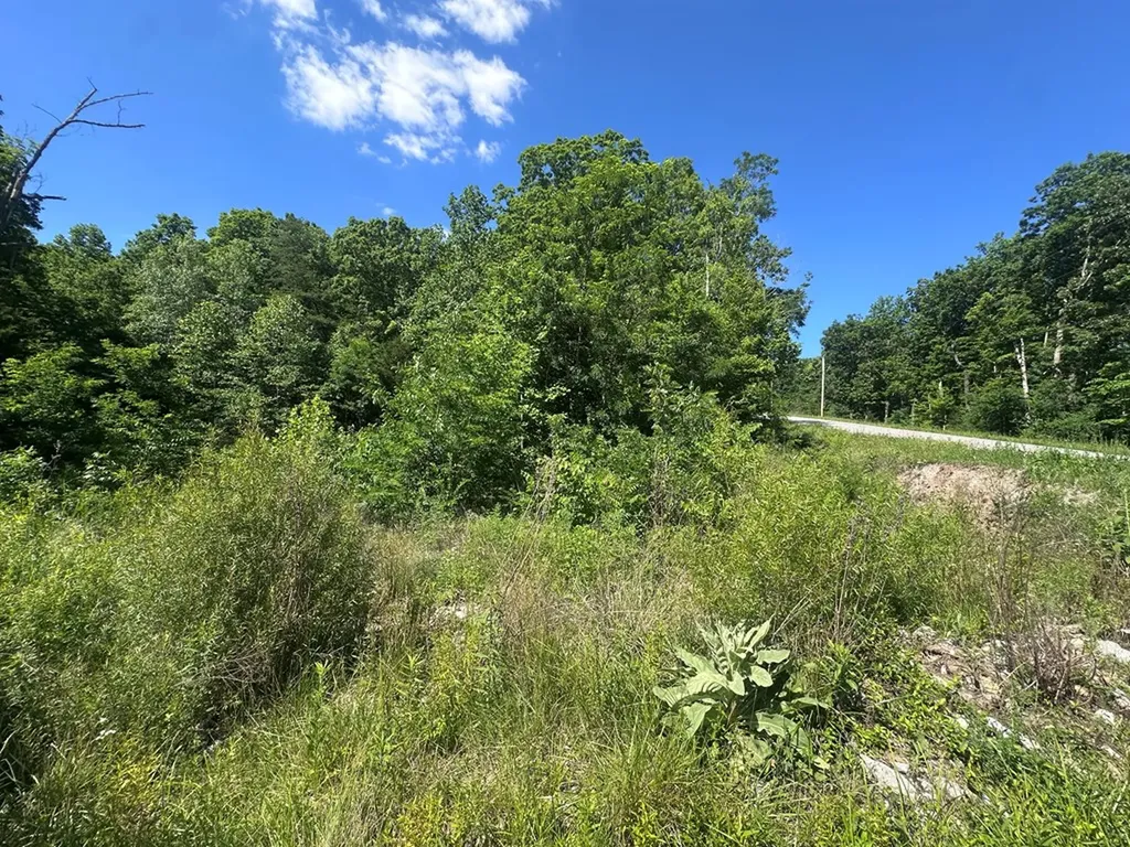 1020 Tomahawk Road Jamestown TN 38556