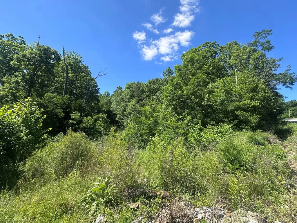 1020 Tomahawk Road Jamestown TN 38556