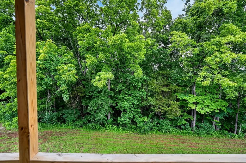 2011 Bear Creek Point Cookeville TN 38506