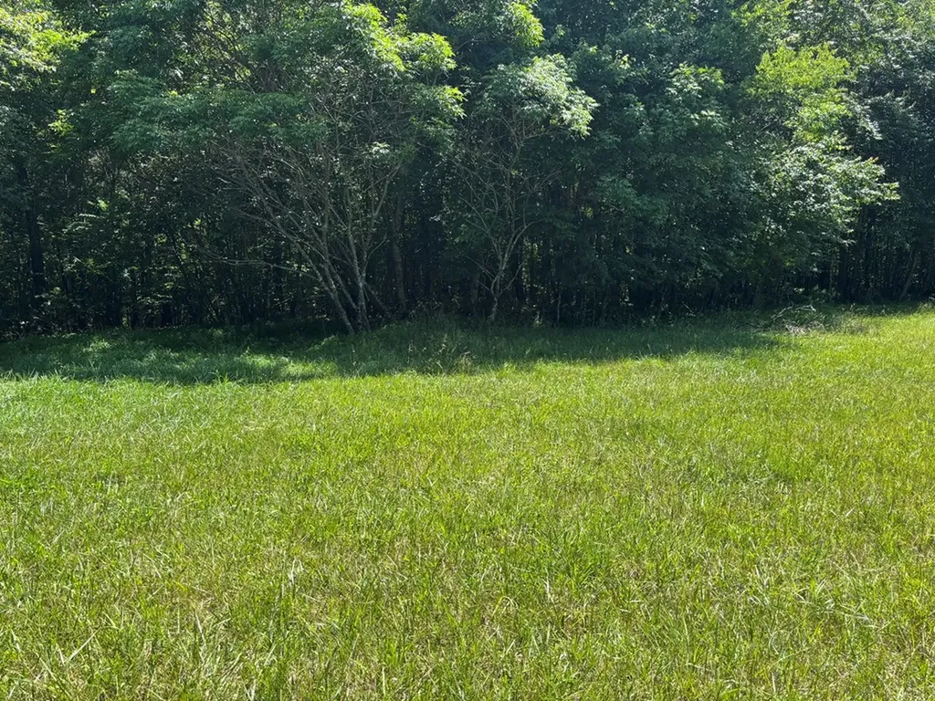 Lot 232 Long Branch Road Spencer TN 38585