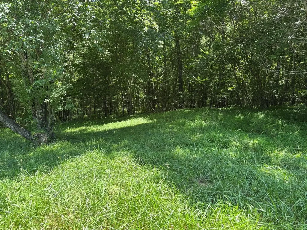 Lot 232 Long Branch Road Spencer TN 38585