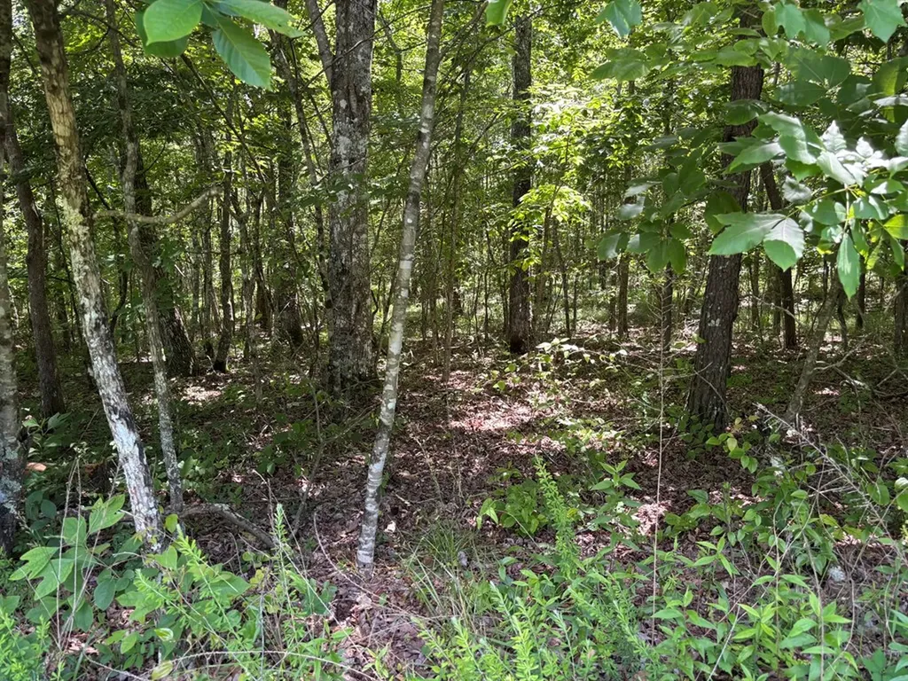 Lot 232 Long Branch Road Spencer TN 38585