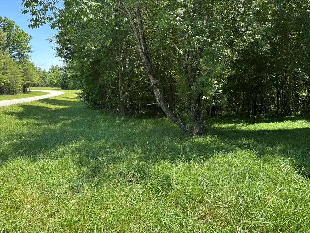 Lot 232 Long Branch Road Spencer TN 38585