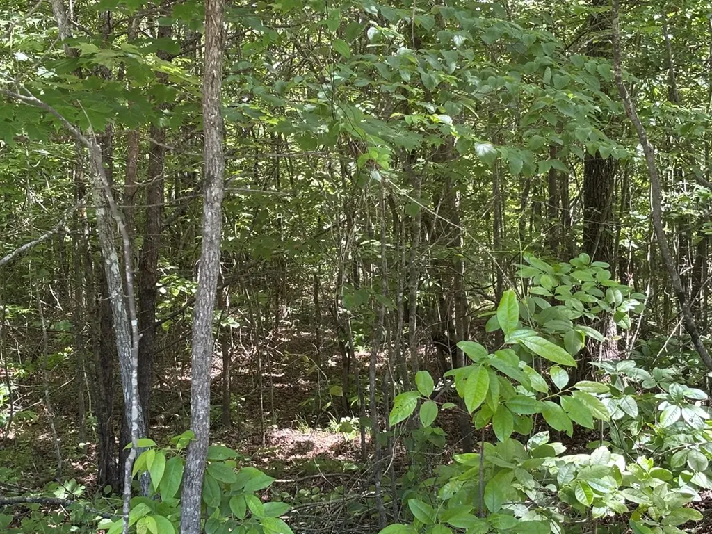Lot 235 Long Branch Road Spencer TN 38585