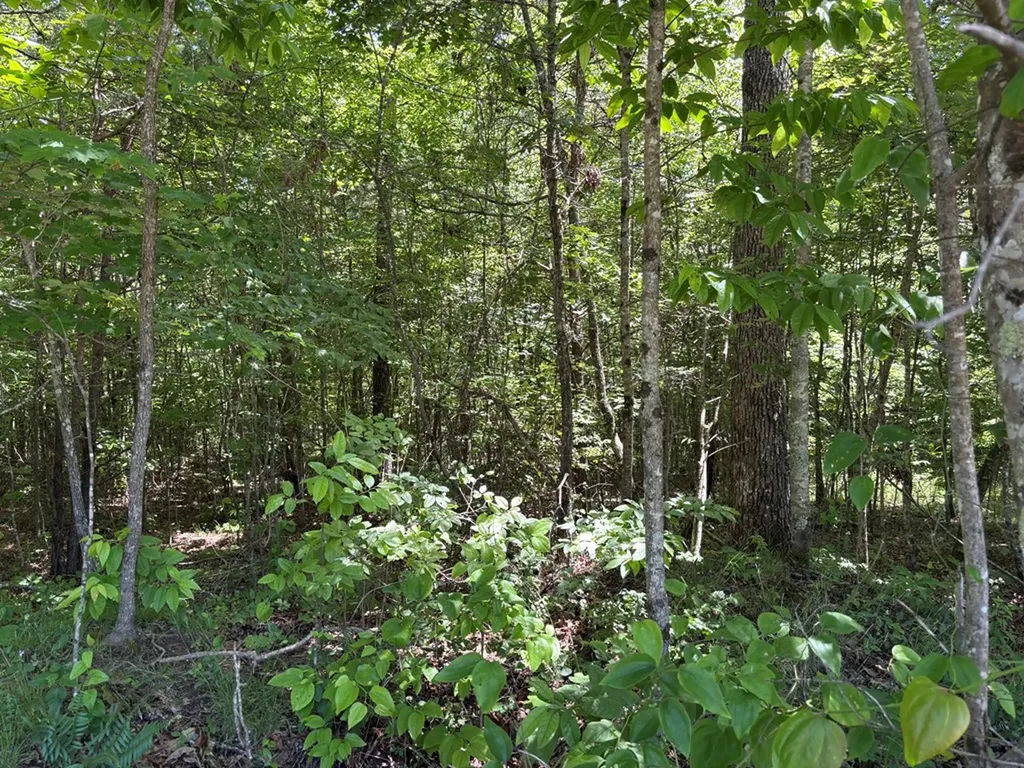 Lot 235 Long Branch Road Spencer TN 38585