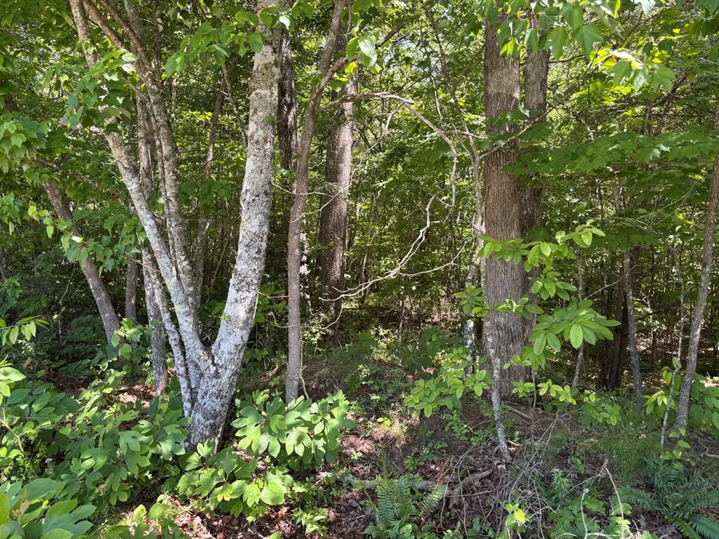 Lot 235 Long Branch Road Spencer TN 38585