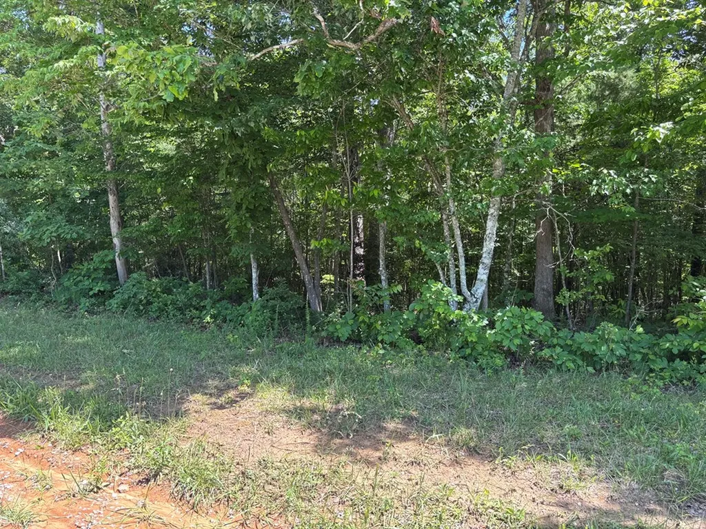 Lot 235 Long Branch Road Spencer TN 38585