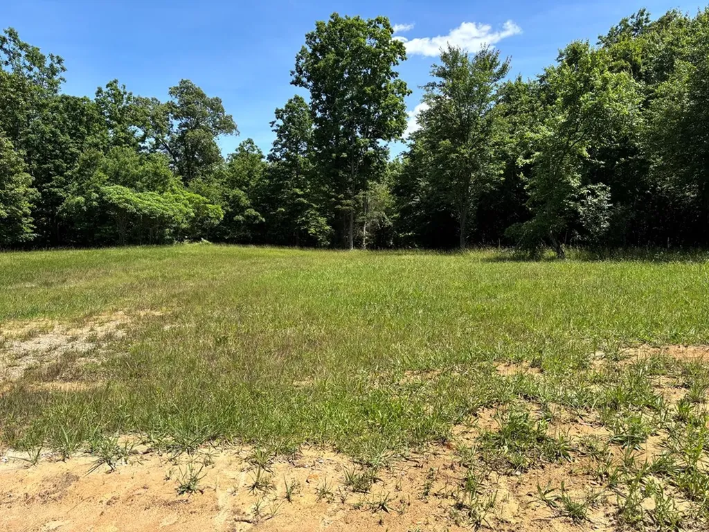 Lot 238 Long Branch Road Spencer TN 38585
