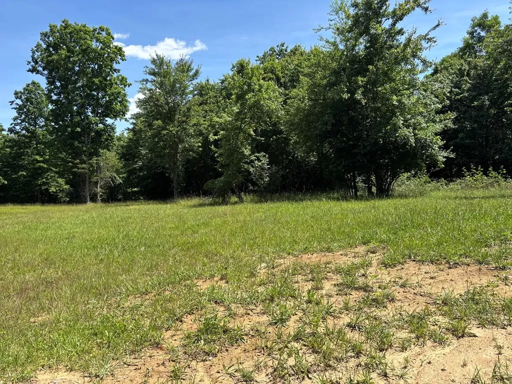 Lot 238 Long Branch Road Spencer TN 38585