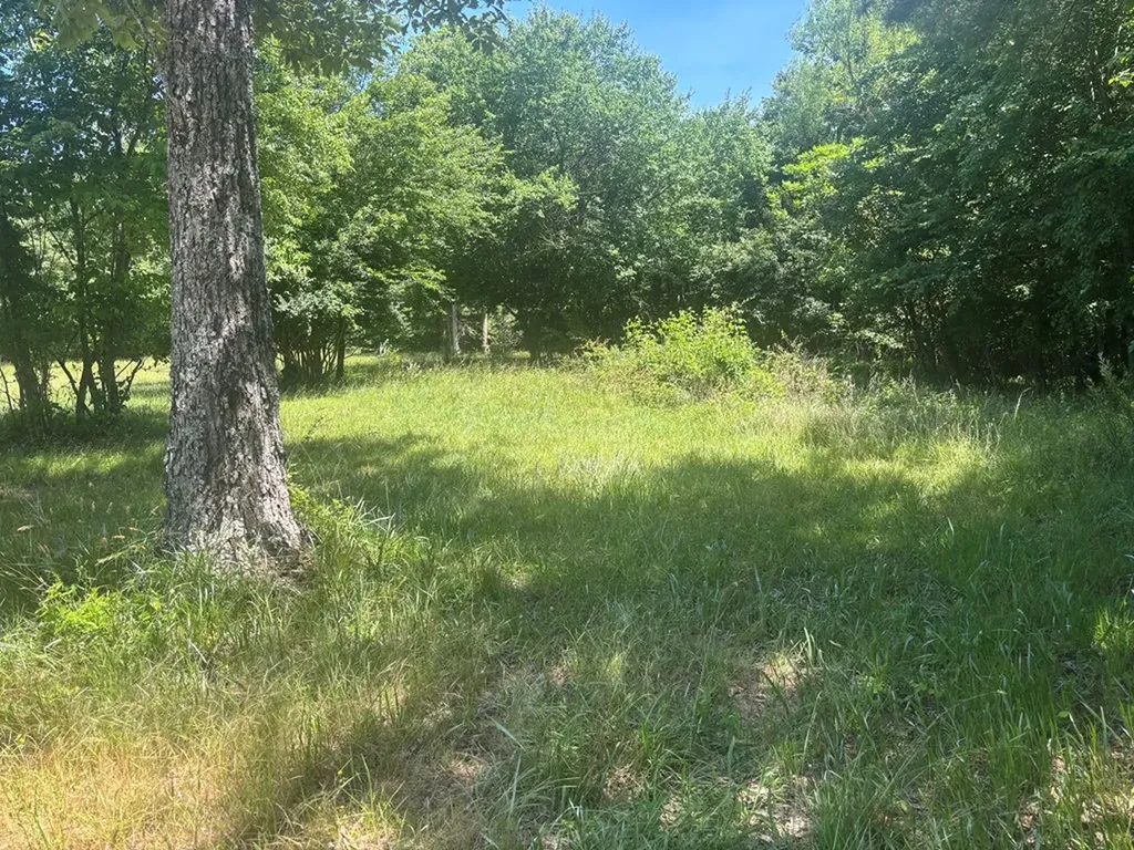 Lot 238 Long Branch Road Spencer TN 38585