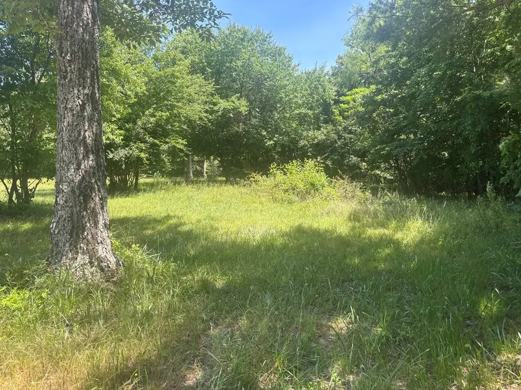 Lot 238 Long Branch Road Spencer TN 38585