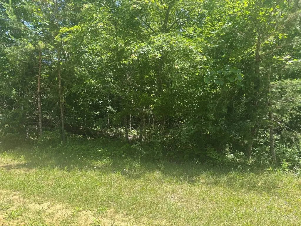 Lot 238 Long Branch Road Spencer TN 38585
