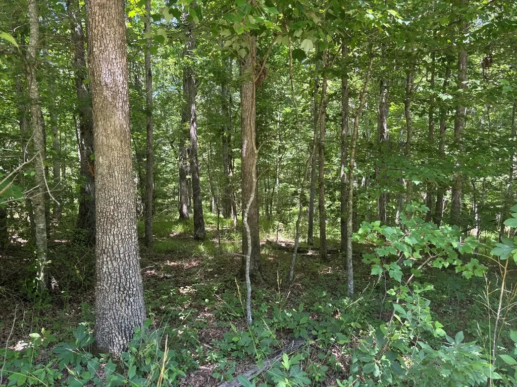 Lot 247 Buck Circle Spencer TN 38585