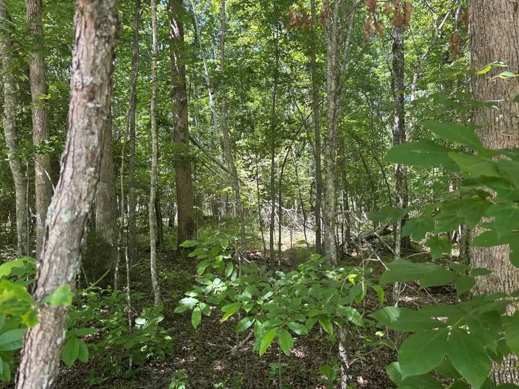 Lot 247 Buck Circle Spencer TN 38585