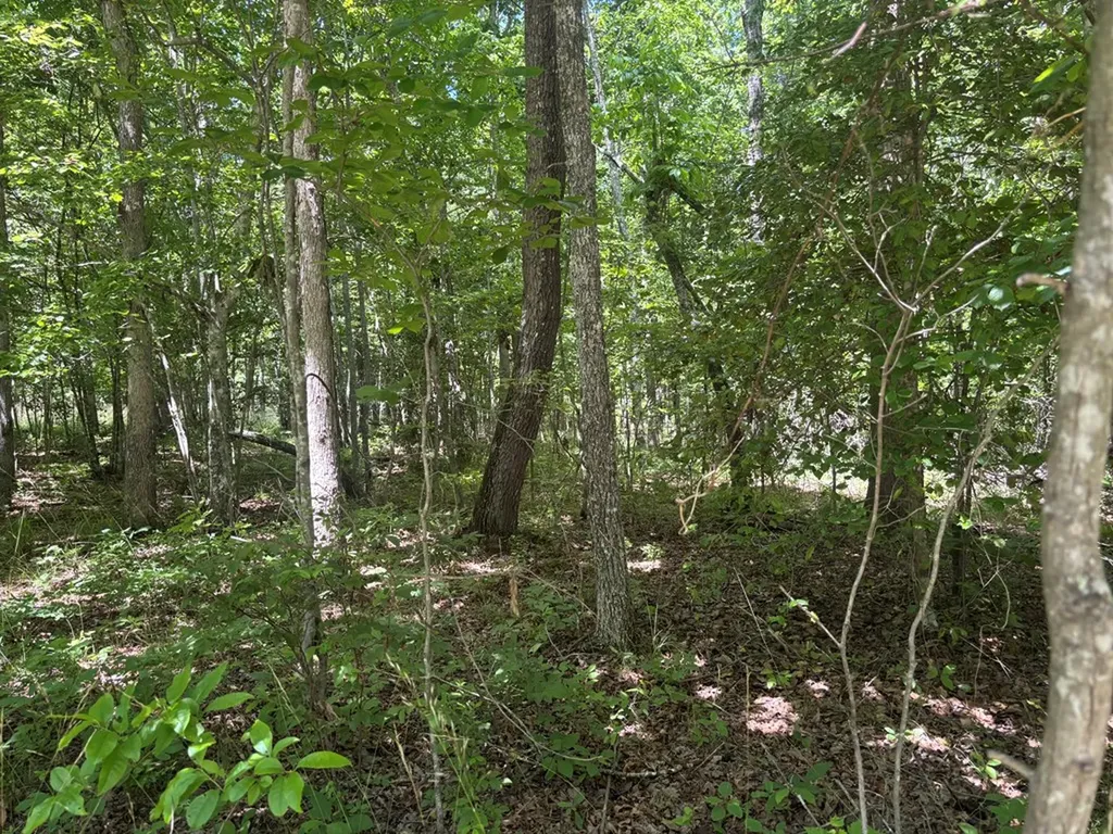 Lot 247 Buck Circle Spencer TN 38585