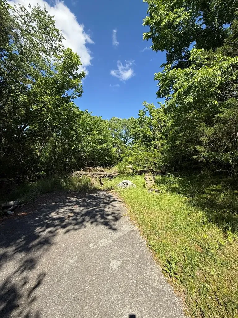 845 Lakeview Drive Gainesboro TN 38562