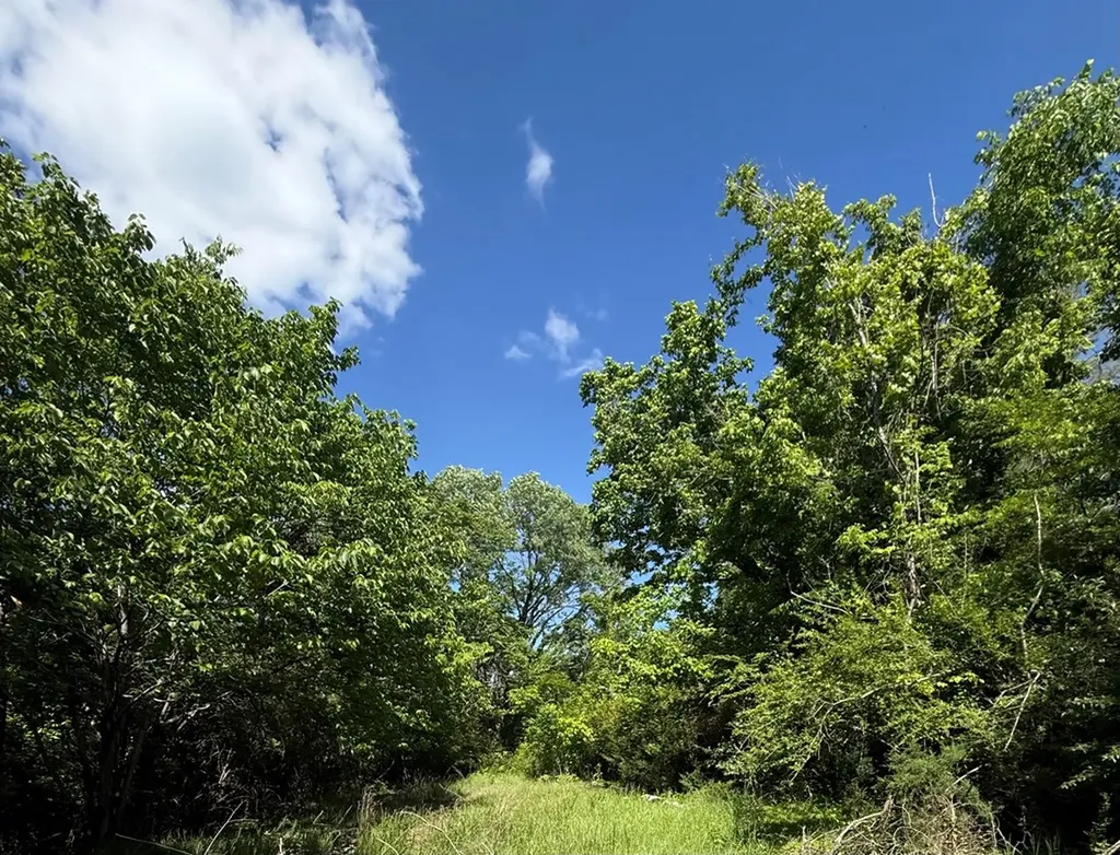 845 Lakeview Drive Gainesboro TN 38562