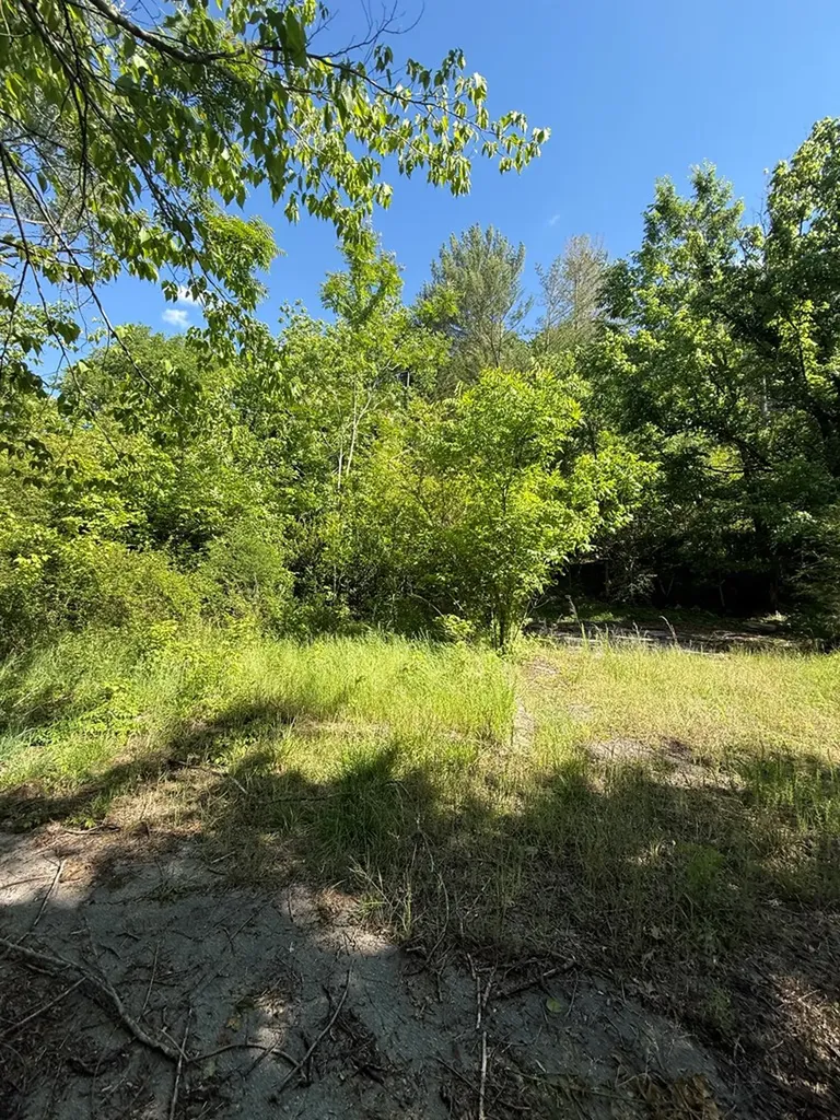 845 Lakeview Drive Gainesboro TN 38562