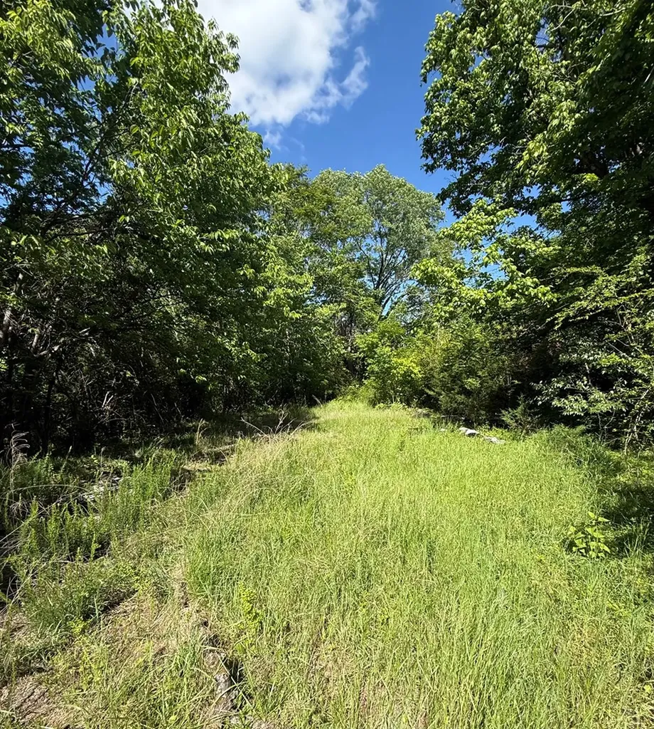 845 Lakeview Drive Gainesboro TN 38562