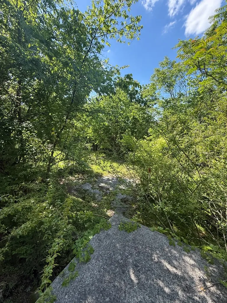 845 Lakeview Drive Gainesboro TN 38562