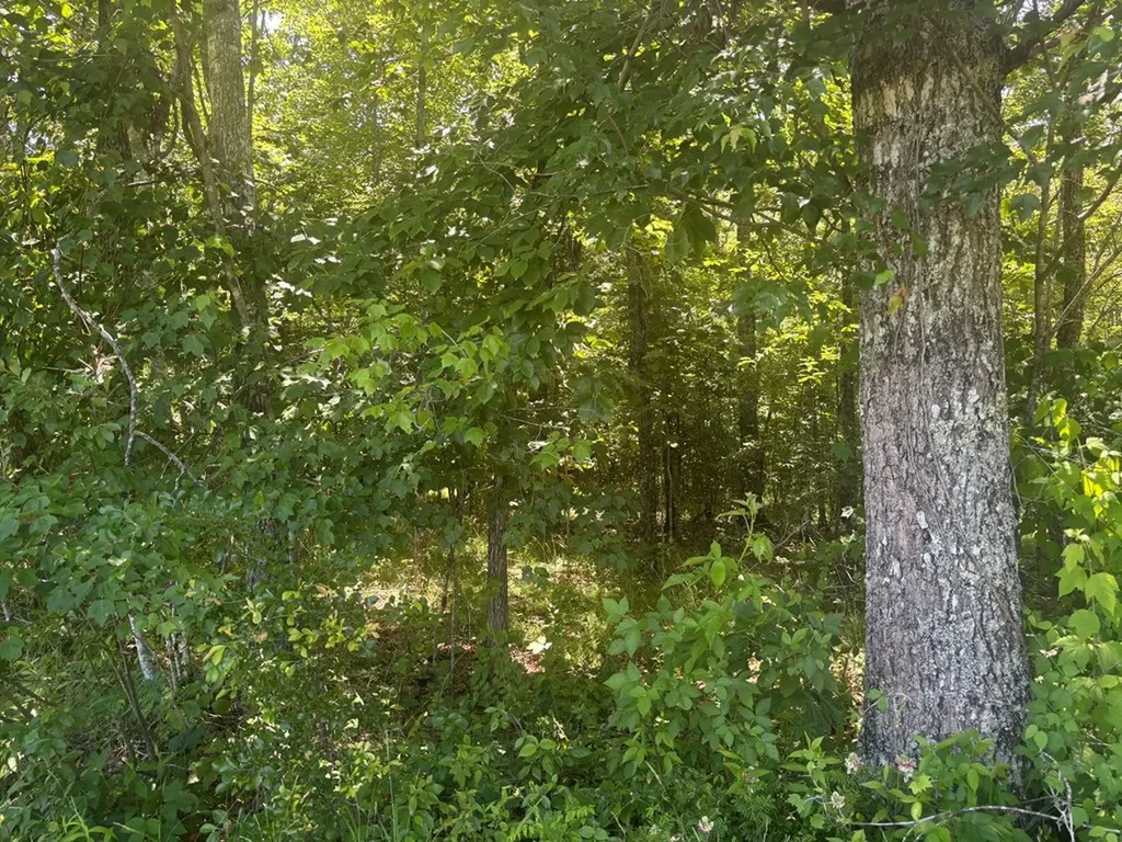 Lot 241 Long Branch Road Spencer TN 38585