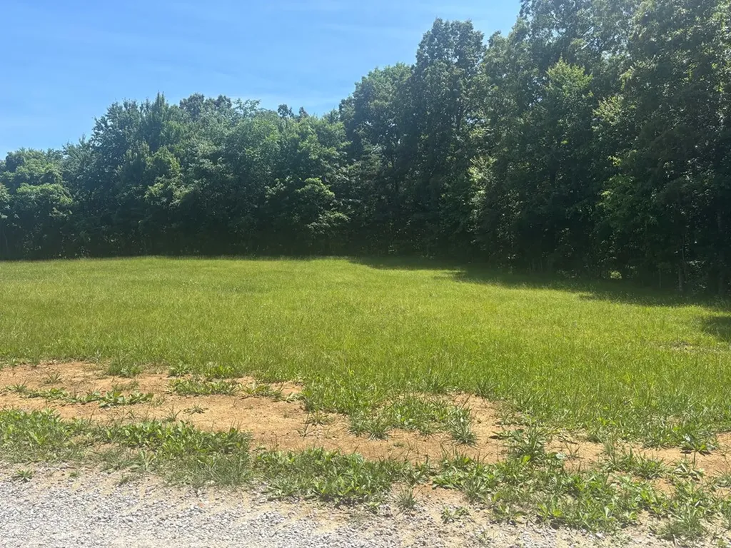 Lot 241 Long Branch Road Spencer TN 38585