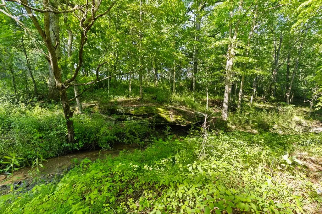 2540 N Gatewood Ford Road Deer Lodge TN 37726