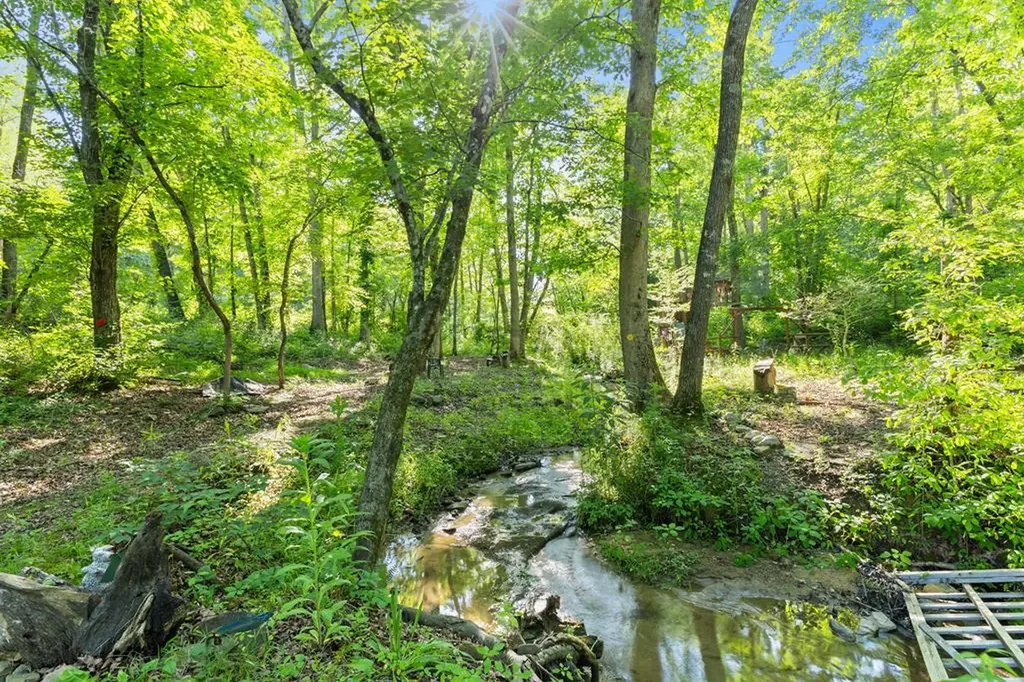 2540 N Gatewood Ford Road Deer Lodge TN 37726