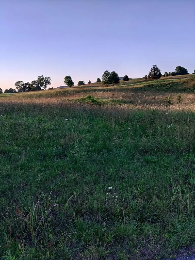 0 Collins Run Lot 51 & 52 Mcminnville TN 37110