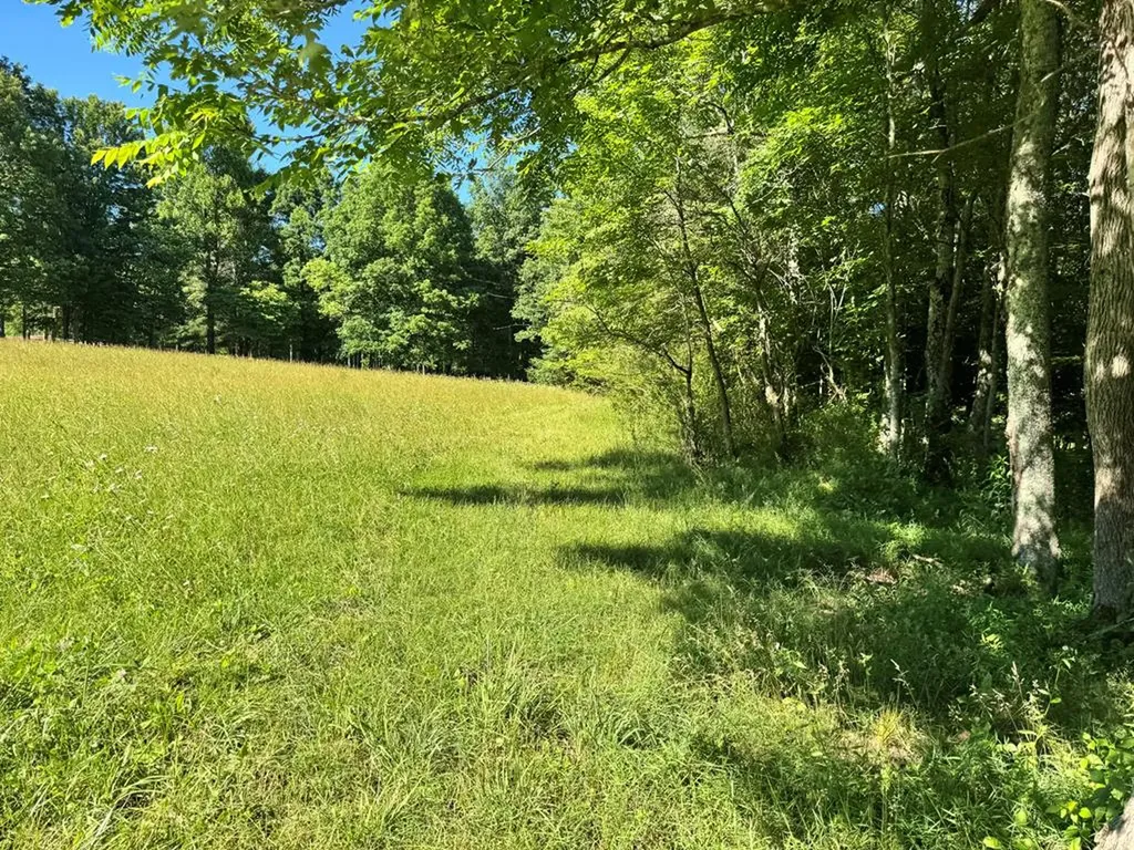 6986 S. York Highway Clarkrange TN 38553