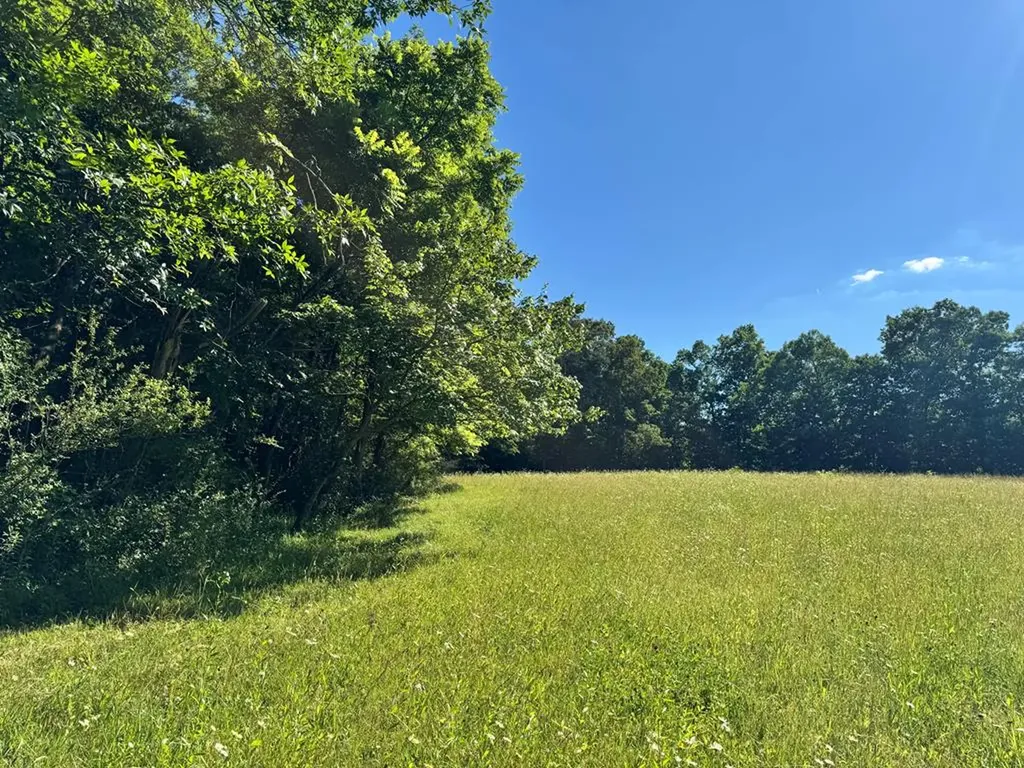 6986 S. York Highway Clarkrange TN 38553