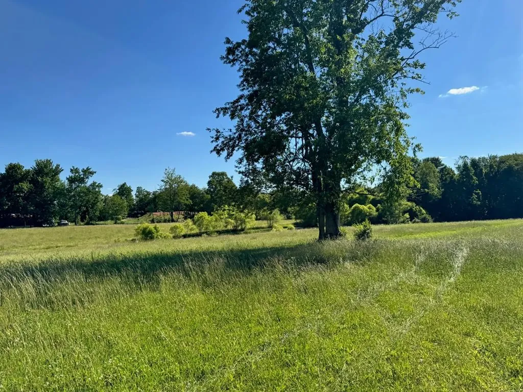 6986 S. York Highway Clarkrange TN 38553
