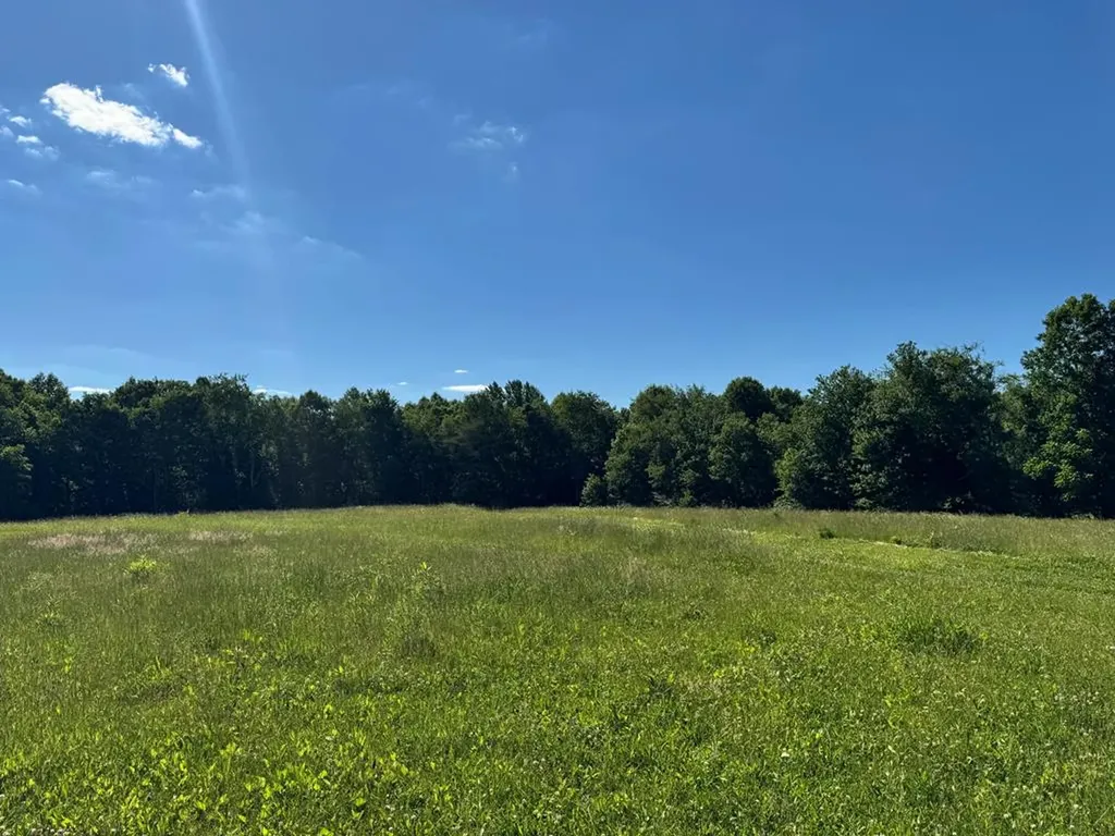 6986 S. York Highway Clarkrange TN 38553