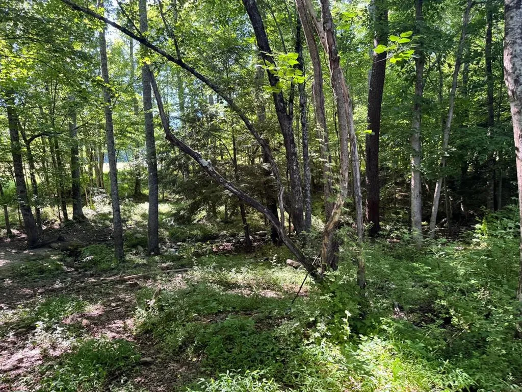 6986 S. York Highway Clarkrange TN 38553