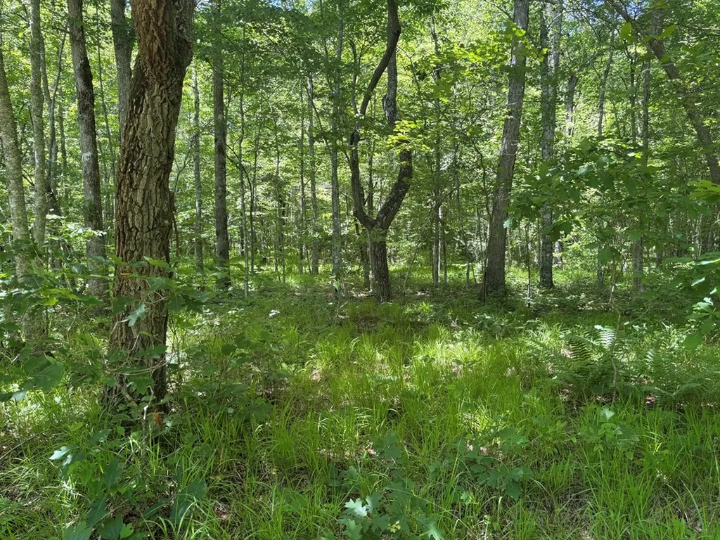 Lot 257 Buck Circle Spencer TN 38585