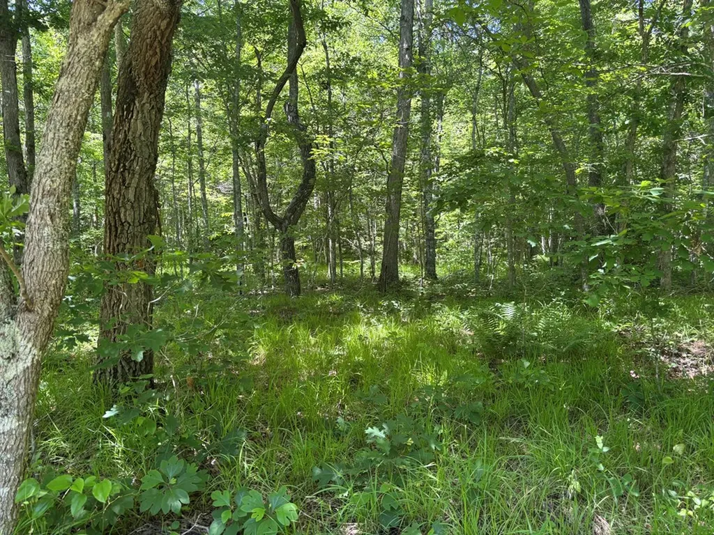 Lot 257 Buck Circle Spencer TN 38585