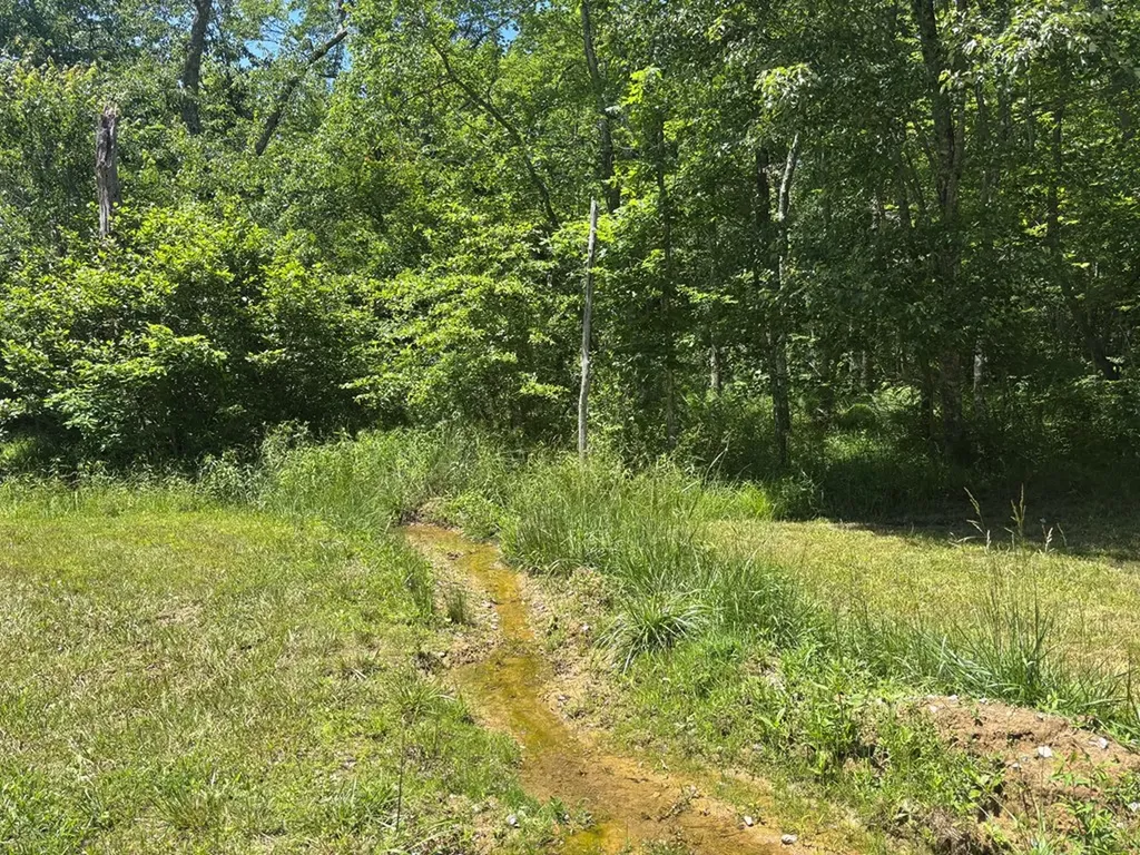 Lot 257 Buck Circle Spencer TN 38585