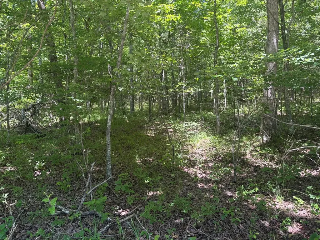 Lot 251 Buck Circle Spencer TN 38585