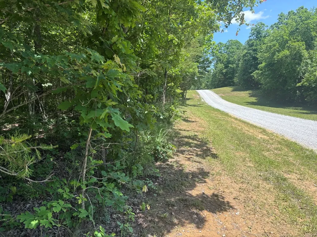 Lot 251 Buck Circle Spencer TN 38585