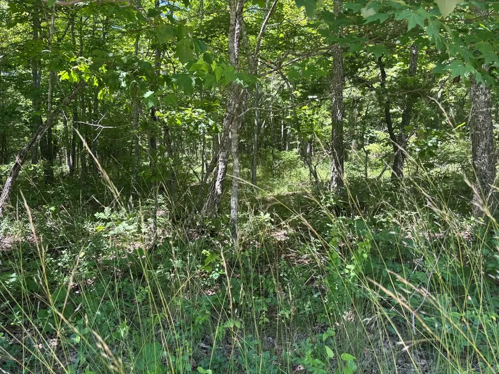 Lot 251 Buck Circle Spencer TN 38585