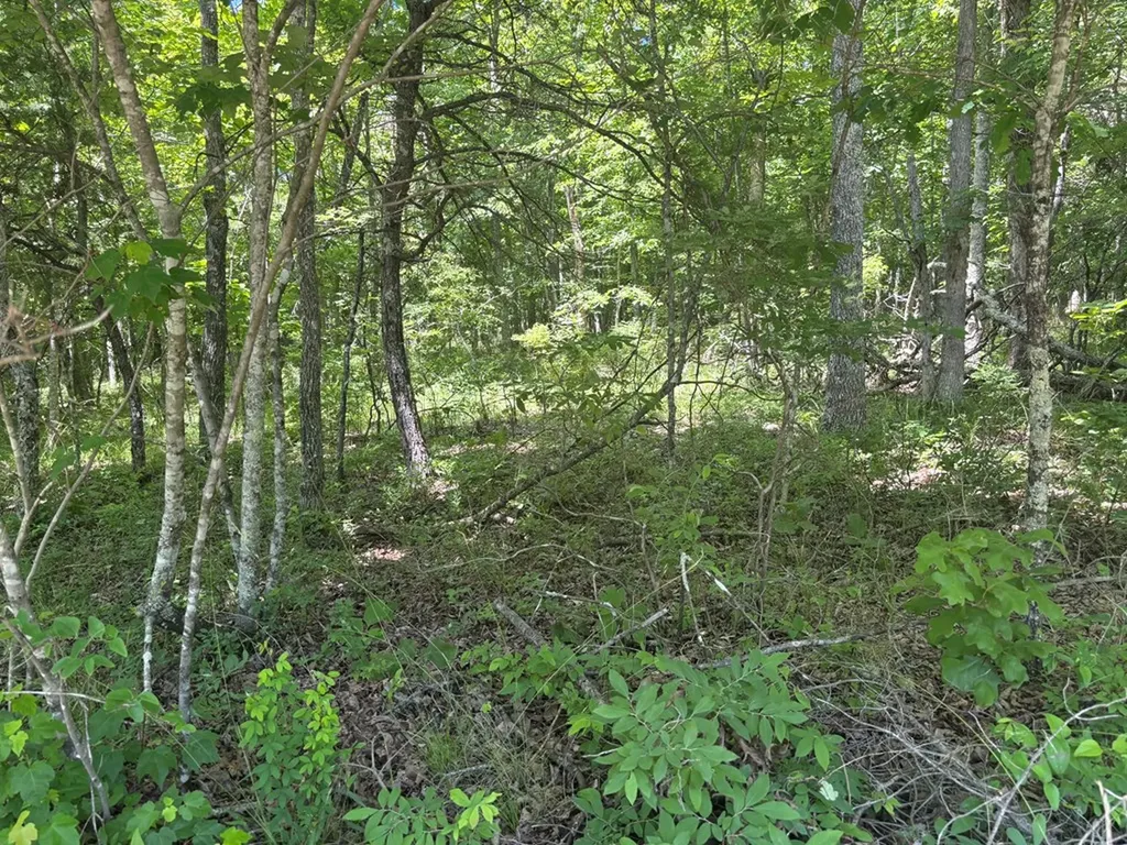 Lot 251 Buck Circle Spencer TN 38585