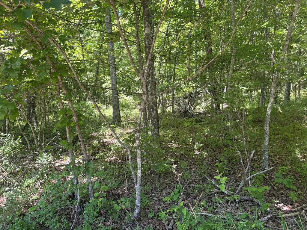 Lot 251 Buck Circle Spencer TN 38585