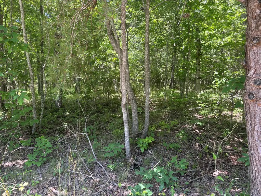Lot 251 Buck Circle Spencer TN 38585